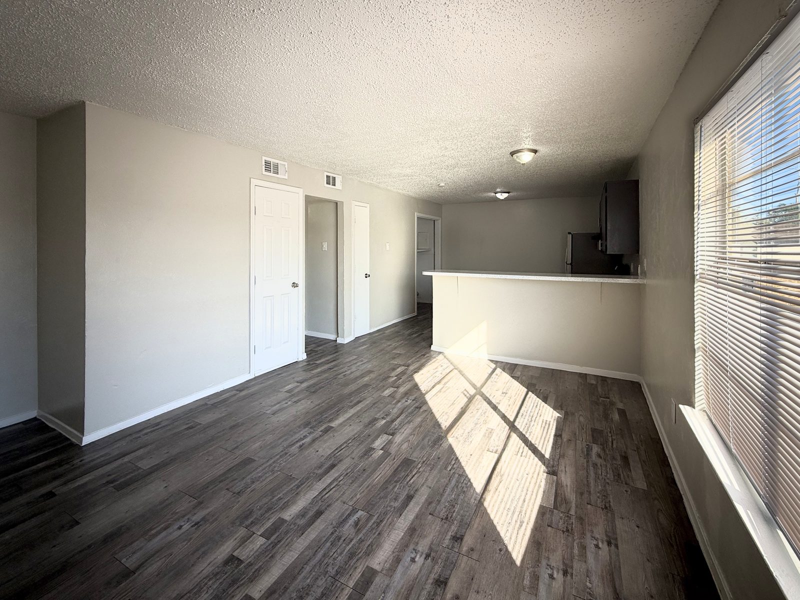 Living room with large window, doorways to hall and closet, and kitchen breakfast bar beyond